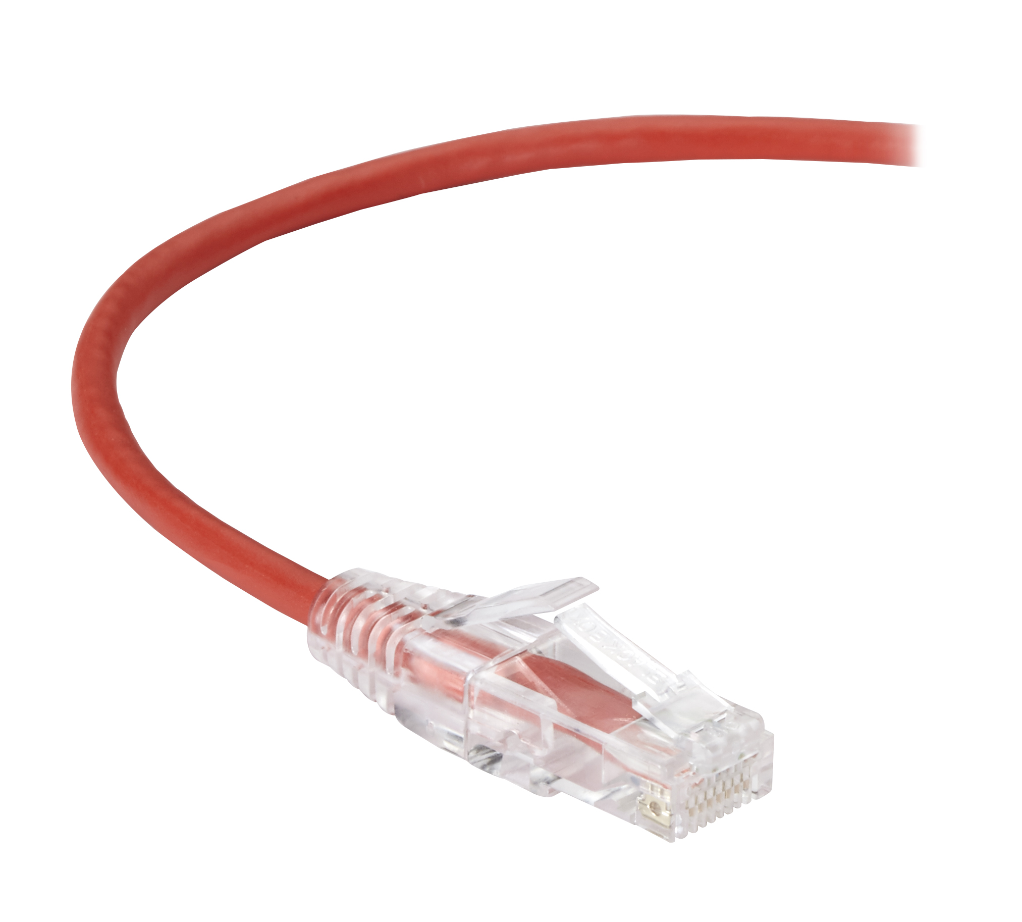 Patch cable - UTP CAT6- 1 ft