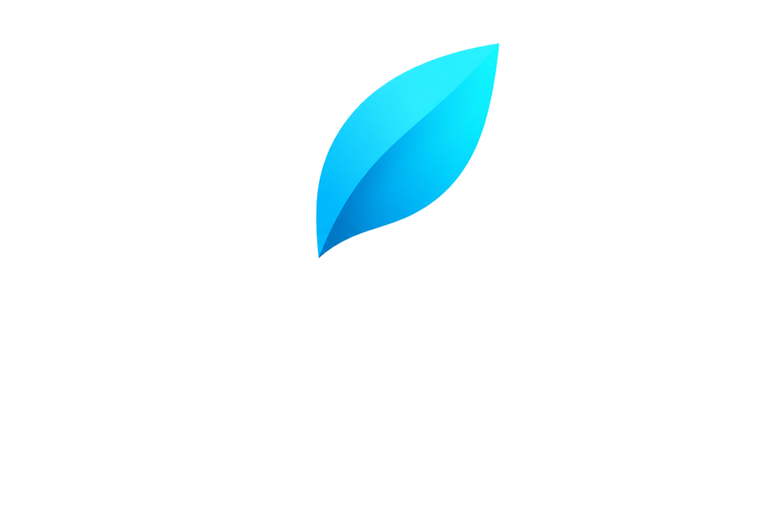 Primo Solutions